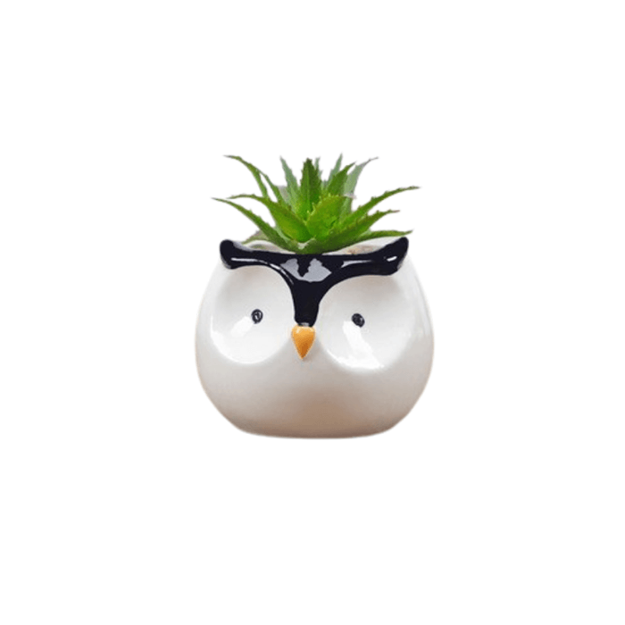 Cute Penguin Succulent Planter made of ceramic with a glazed finish, featuring a charming penguin design and drainage hole.