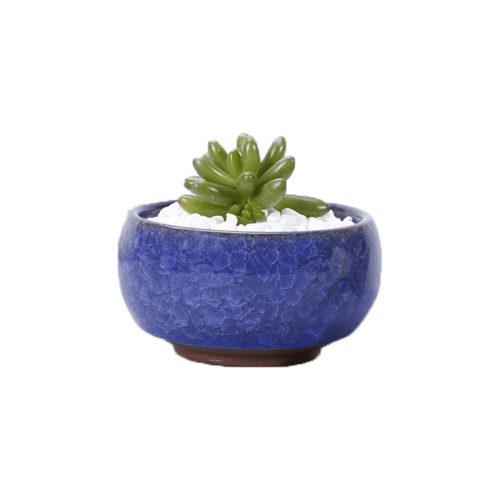 Dark blue ceramic succulent planter pot with a cracked glaze pattern, featuring a drainage hole and saucer, ideal for indoor plants.