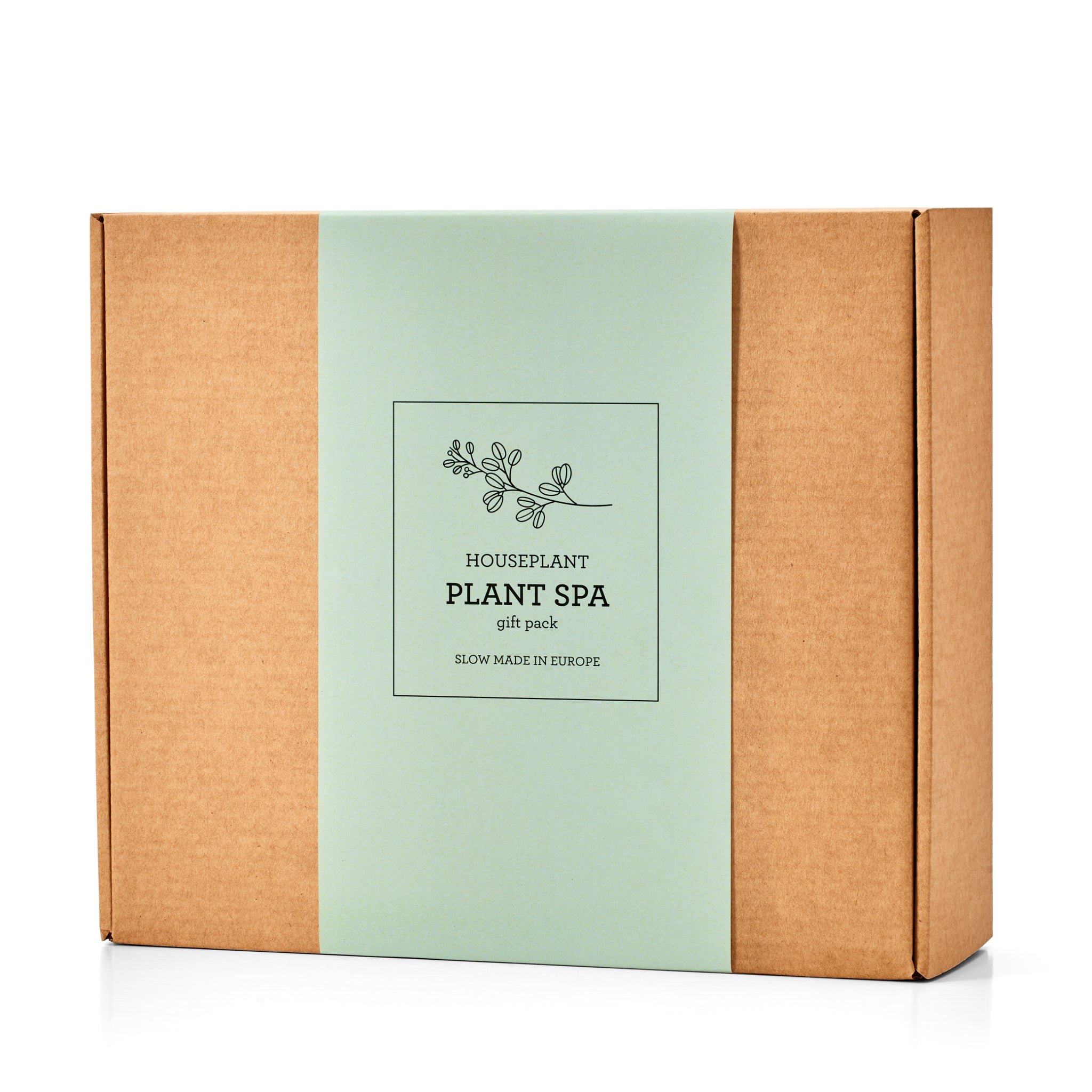 Plant Clean & Protect Kit featuring a sprayer and cleaning solutions for house plants.