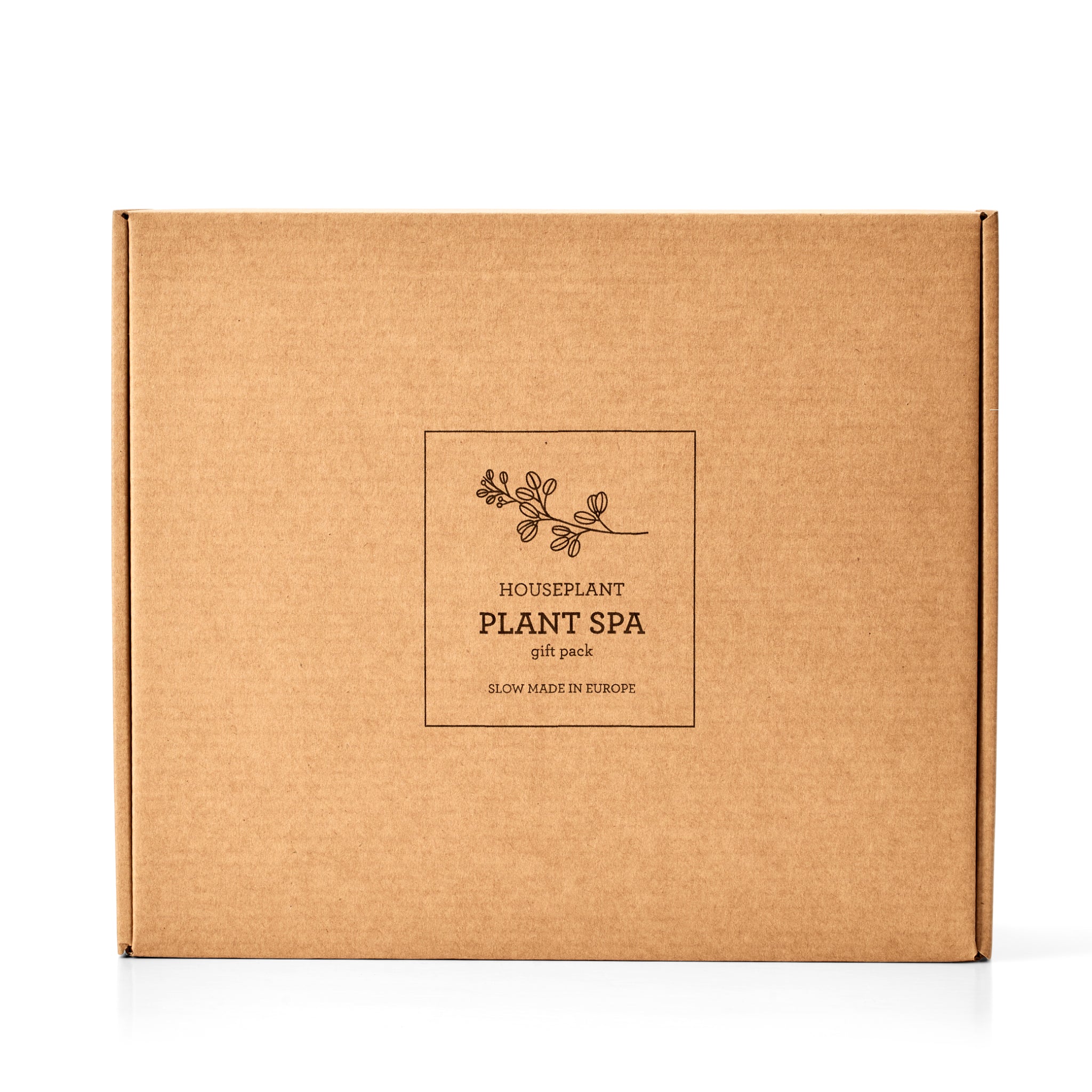 Plant Clean & Protect Kit featuring a sprayer and cleaning solutions for house plants.