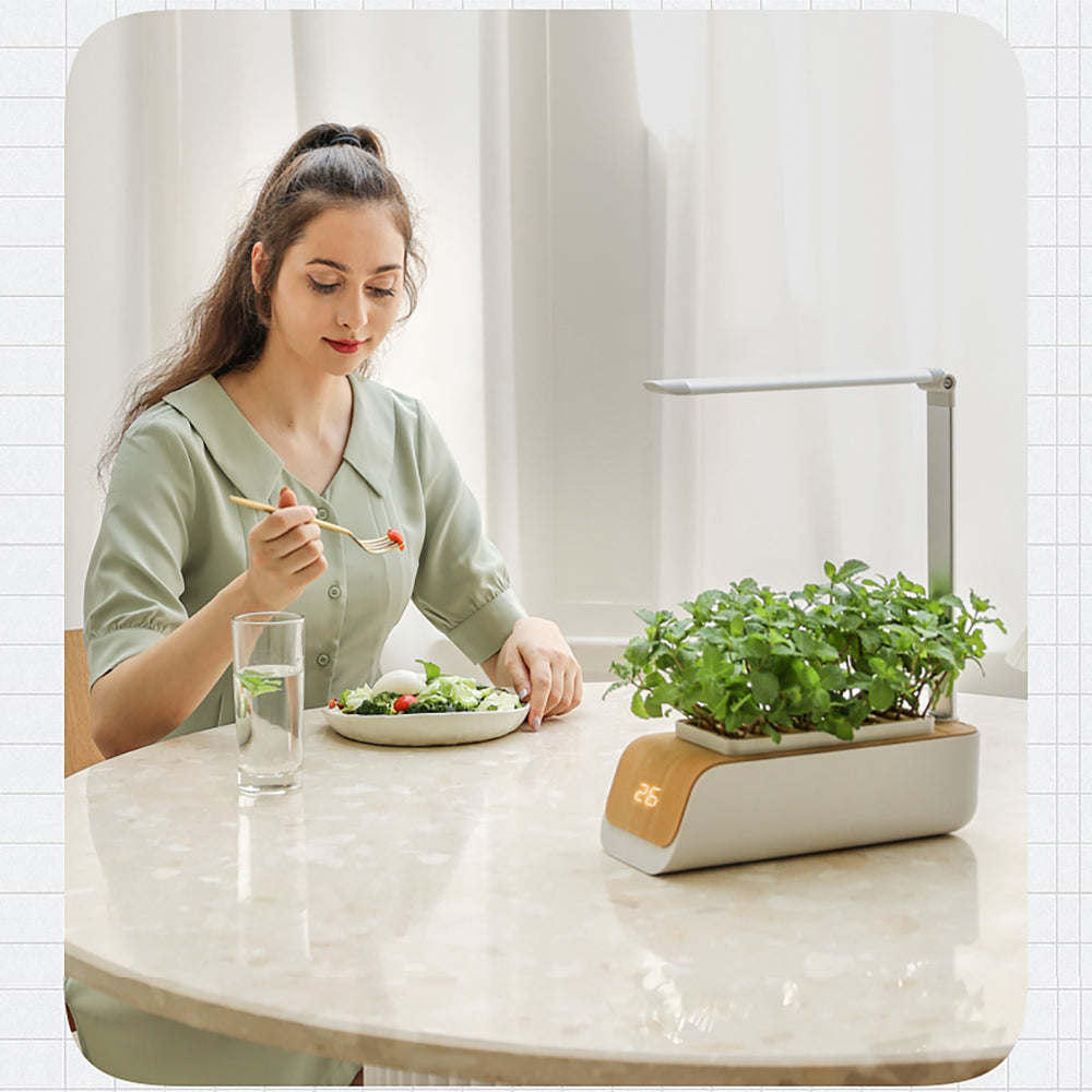 Hydroponic Container Flower Pot with adjustable growth lamp, designed for indoor and patio gardening, made from durable ABS and aluminum alloy.