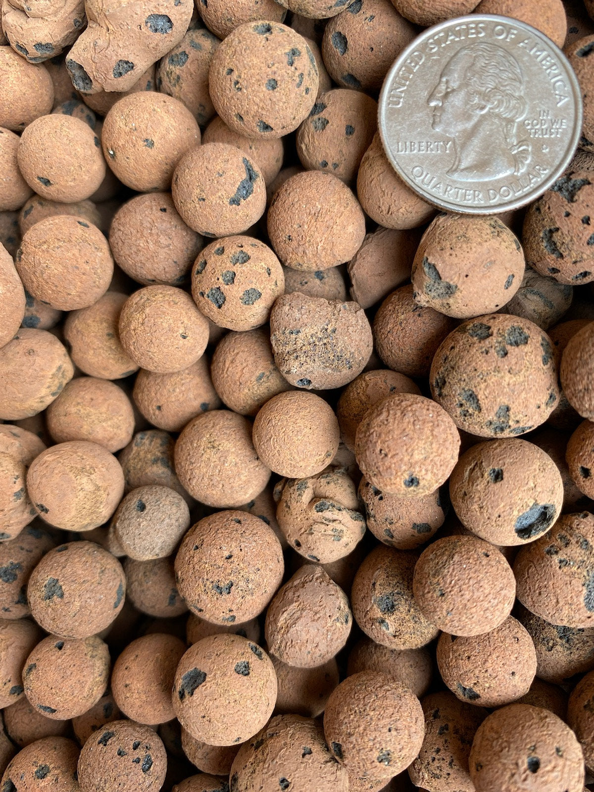 A close-up of LECA Balls, showcasing their lightweight, porous structure ideal for plant drainage and moisture retention.