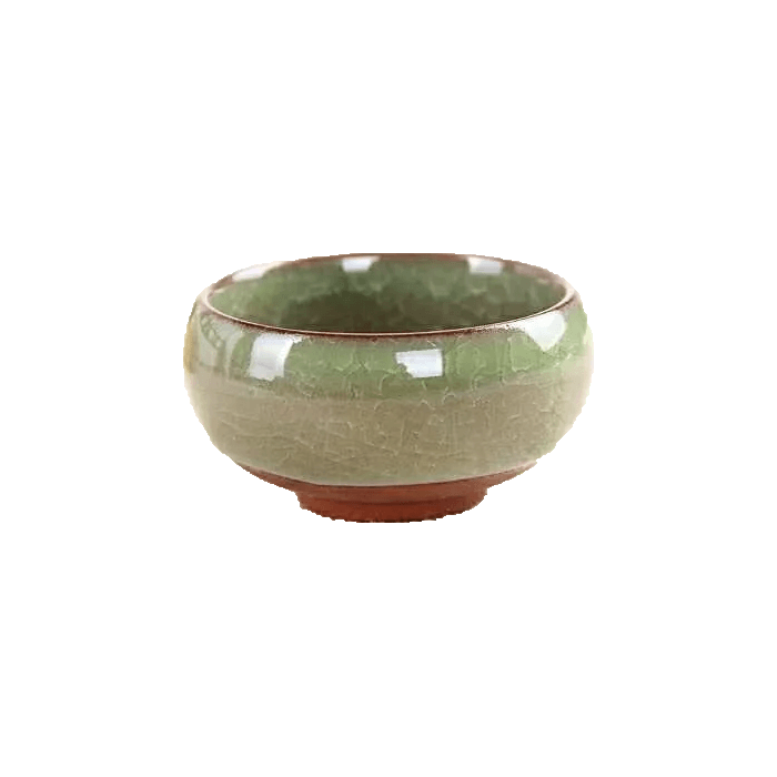 Light Green Ceramic Succulent Planter Pot with Cracked Glazed Pattern, featuring a drainage hole and saucer, ideal for indoor plants.