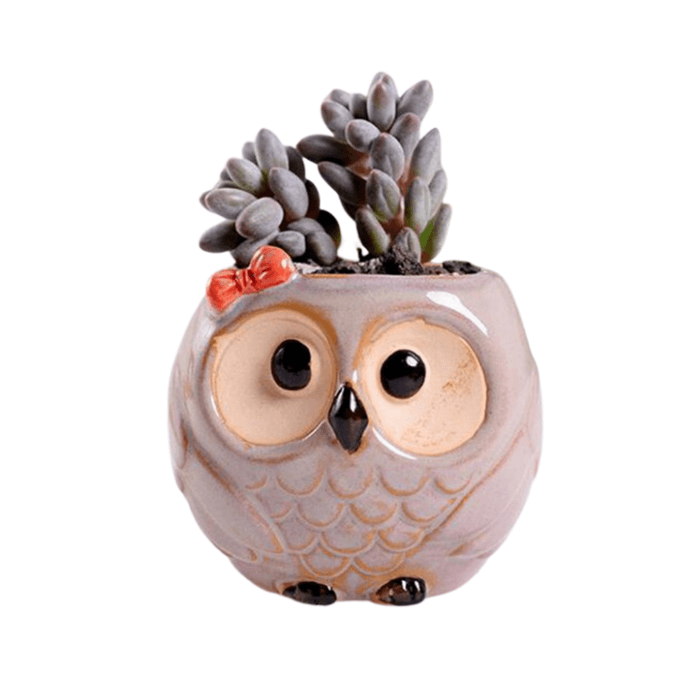 Owl Style 2 Succulent Planter Pot in beige ceramic with a cute owl design, perfect for indoor plants.