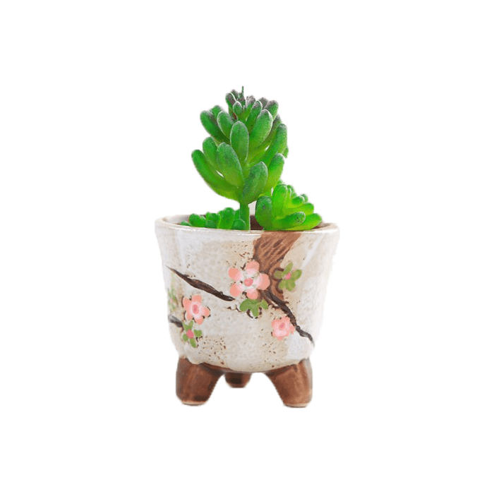 White cup shaped ceramic succulent pot with floral design, featuring three legs and drainage hole, ideal for small plants.