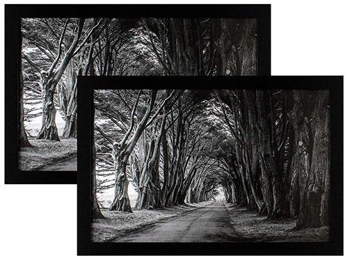 Two elegant 11x17 black gallery picture frames with wide molding, showcasing a smooth finish and thick glass front, perfect for photos and documents.