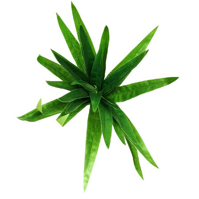 Three realistic 30cm tall aloe vera plant stems with metal stems for easy insertion into arrangements.