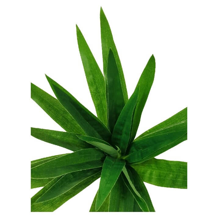Three realistic 30cm tall aloe vera plant stems with metal stems for easy insertion into arrangements.