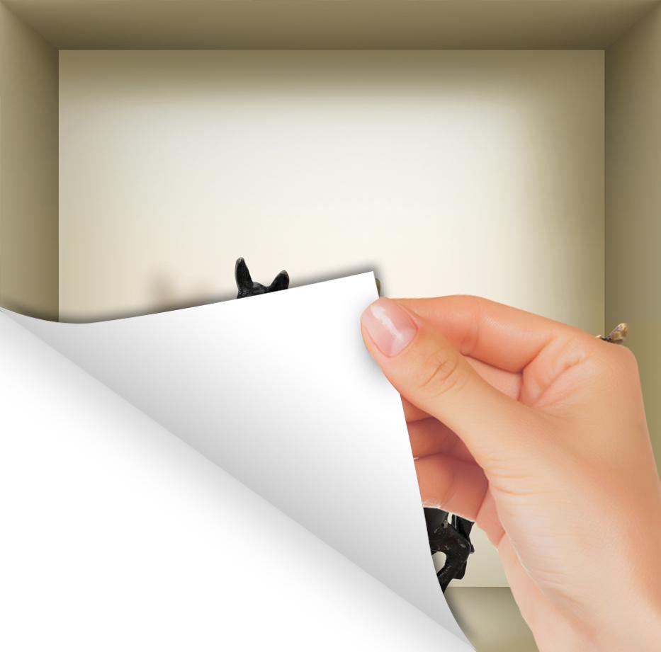 Set of 3 stunning 3D Niche Wall Art Decals displayed on a smooth wall, showcasing vibrant colors and intricate designs.