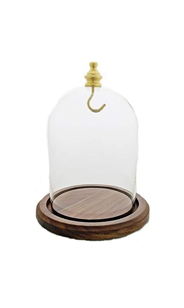 Elegant 3x4 glass display dome with walnut wood base showcasing a pocket watch.
