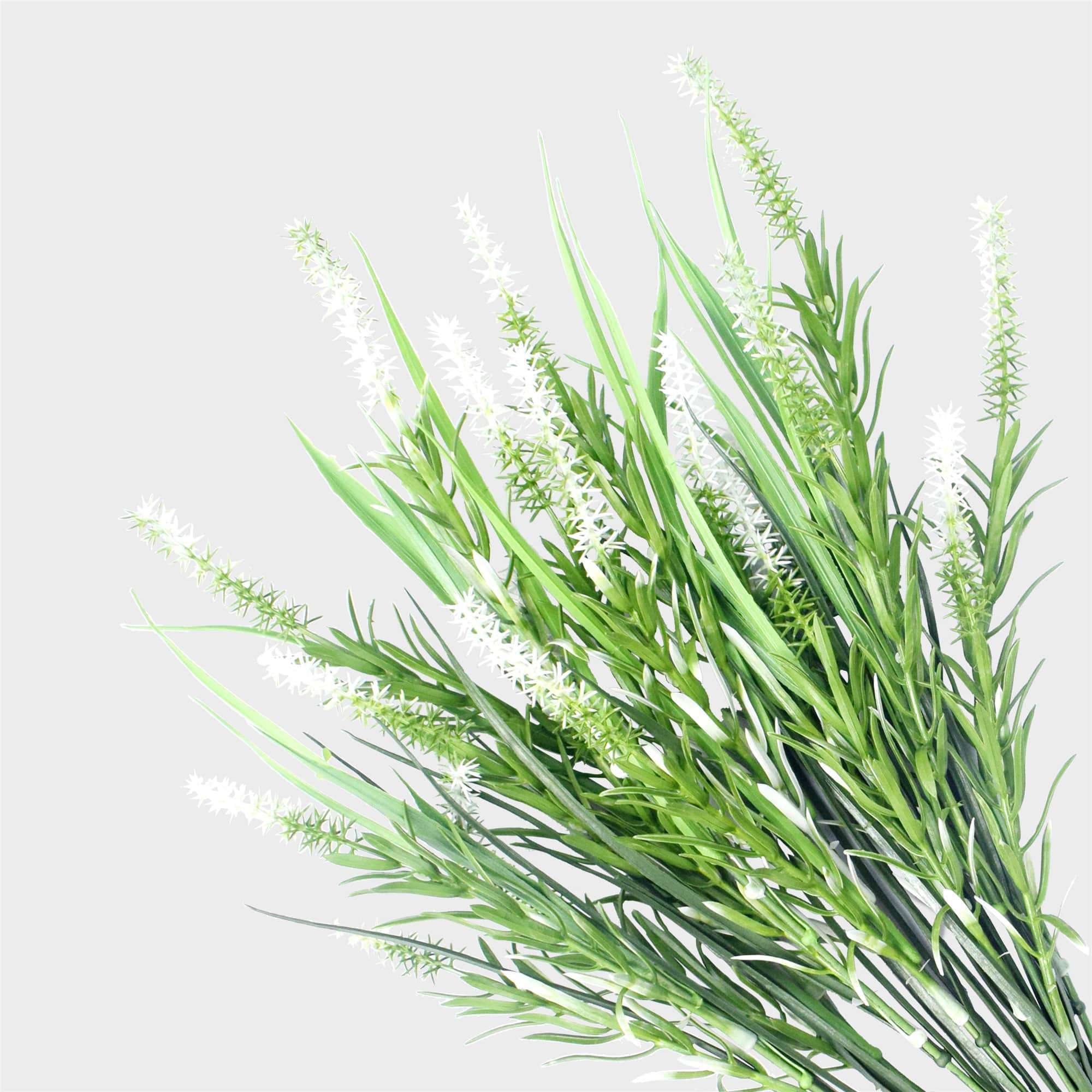 Five long stem white lavender plants with green foliage, perfect for home decor.