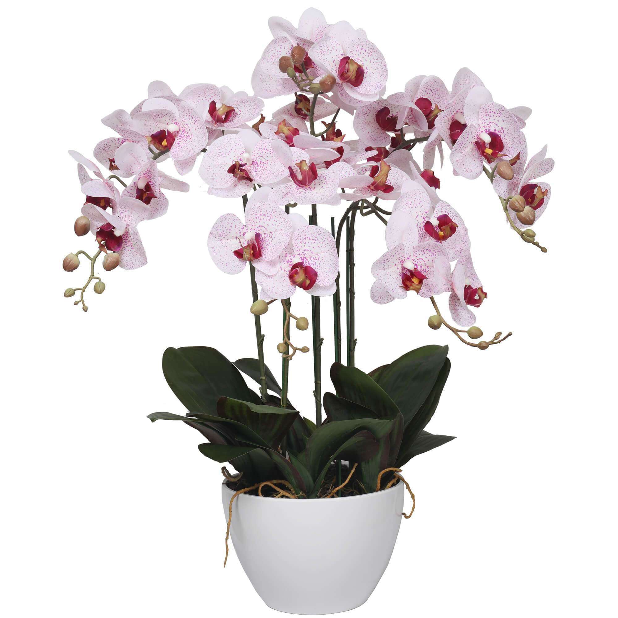 A beautiful 66cm Multi Stem Pink Butterfly Artificial Potted Orchid in a sleek white ceramic pot, showcasing vibrant pink blooms and realistic silk petals.
