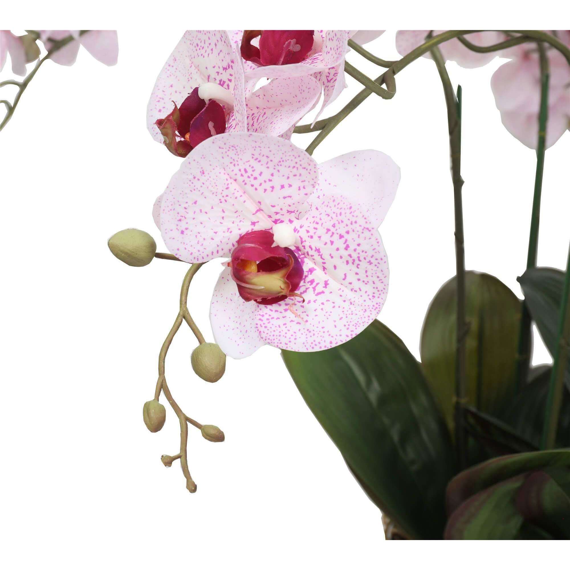 A beautiful 66cm Multi Stem Pink Butterfly Artificial Potted Orchid in a sleek white ceramic pot, showcasing vibrant pink blooms and realistic silk petals.