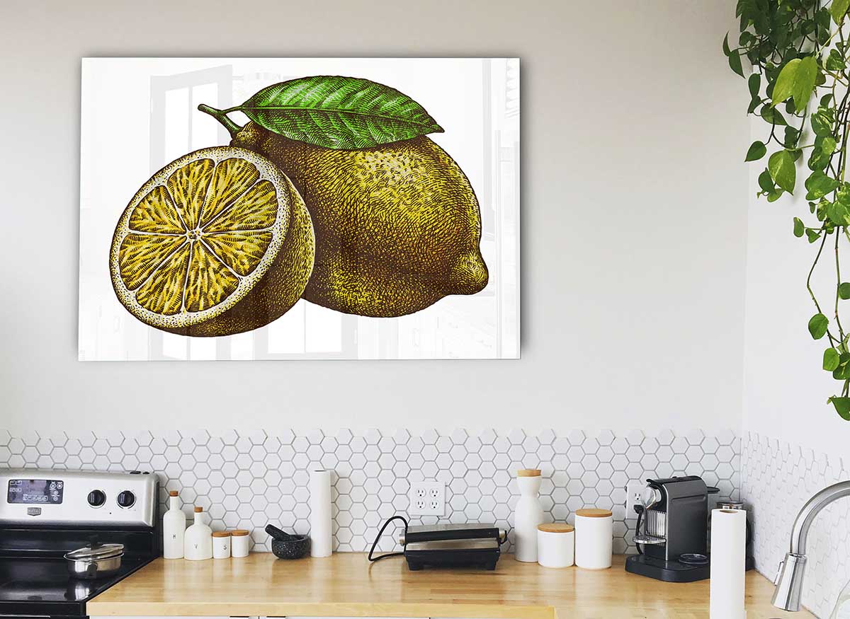 A Lemon Illustrated glass print featuring a vibrant lemon design on a sleek glass surface, perfect for modern home decor.
