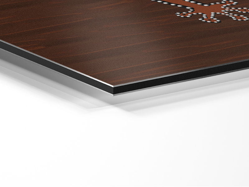 Aboriginal Lizard 2 artwork printed on brushed aluminium dibond, showcasing vibrant colors and modern design.