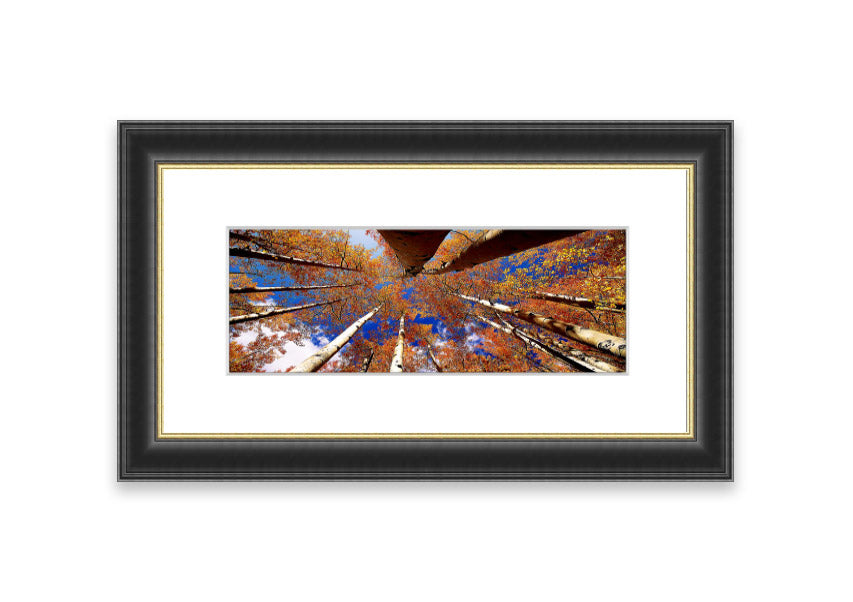 Framed print of Above The Trees, showcasing a beautiful Cornwall landscape with vibrant colors and intricate details.