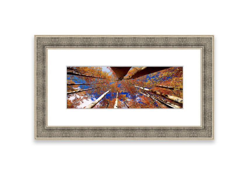 Framed print of Above The Trees, showcasing a beautiful Cornwall landscape with vibrant colors and intricate details.