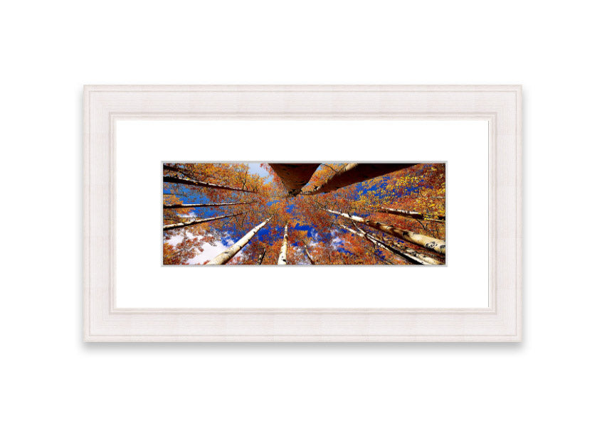 Framed print of Above The Trees, showcasing a beautiful Cornwall landscape with vibrant colors and intricate details.