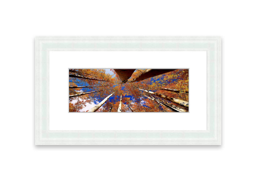 Framed print of Above The Trees, showcasing a beautiful Cornwall landscape with vibrant colors and intricate details.