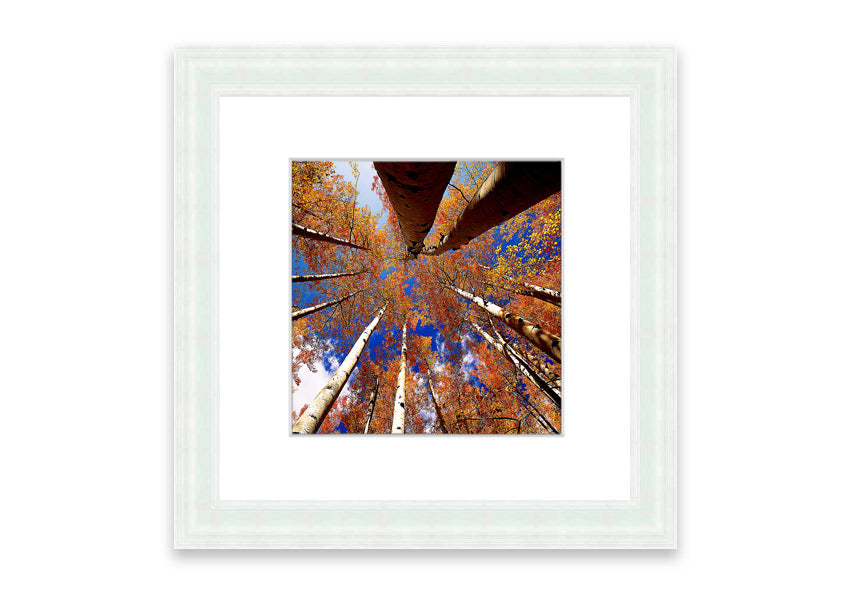 Framed print of Above The Trees, showcasing a beautiful Cornwall landscape with vibrant colors and intricate details.