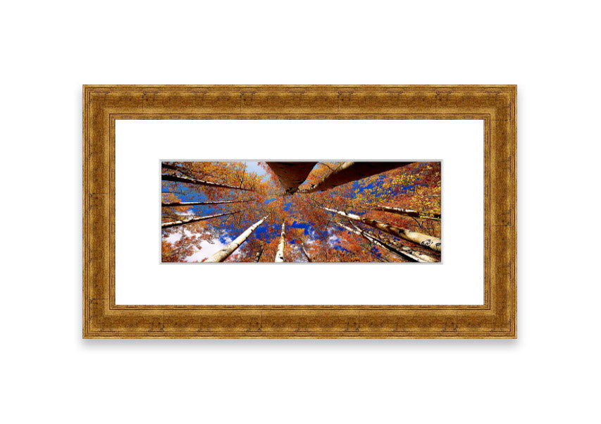 Framed print of Above The Trees, showcasing a beautiful Cornwall landscape with vibrant colors and intricate details.