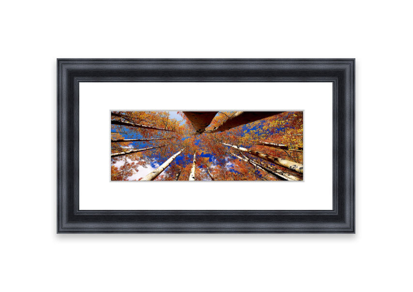 Framed print of Above The Trees, showcasing a beautiful Cornwall landscape with vibrant colors and intricate details.