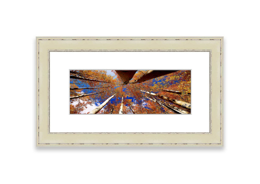 Framed print of Above The Trees, showcasing a beautiful Cornwall landscape with vibrant colors and intricate details.