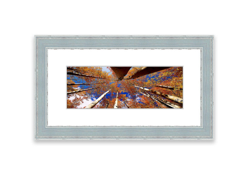 Framed print of Above The Trees, showcasing a beautiful Cornwall landscape with vibrant colors and intricate details.