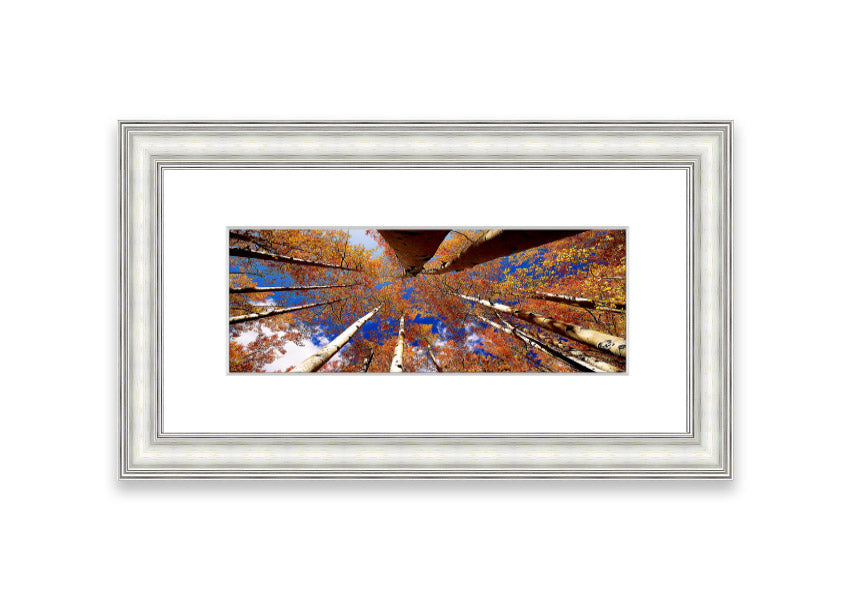 Framed print of Above The Trees, showcasing a beautiful Cornwall landscape with vibrant colors and intricate details.