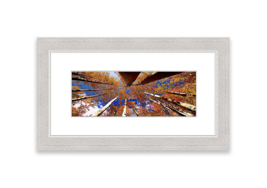 Framed print of Above The Trees, showcasing a beautiful Cornwall landscape with vibrant colors and intricate details.