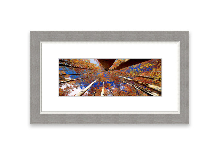 Framed print of Above The Trees, showcasing a beautiful Cornwall landscape with vibrant colors and intricate details.