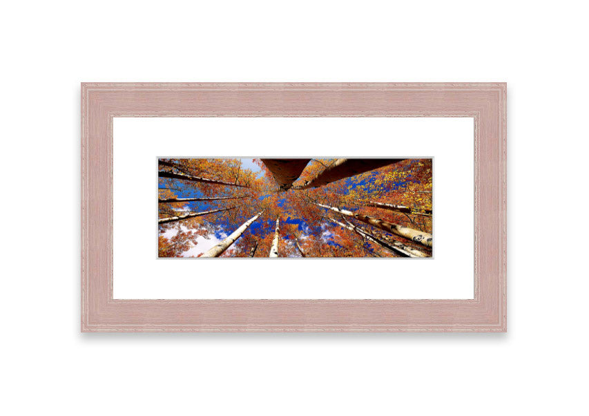 Framed print of Above The Trees, showcasing a beautiful Cornwall landscape with vibrant colors and intricate details.