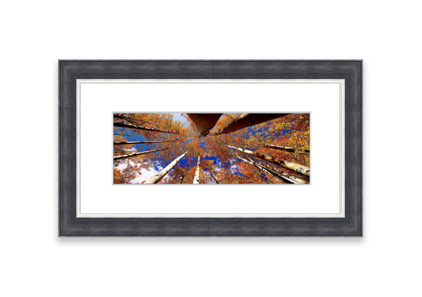Framed print of Above The Trees, showcasing a beautiful Cornwall landscape with vibrant colors and intricate details.