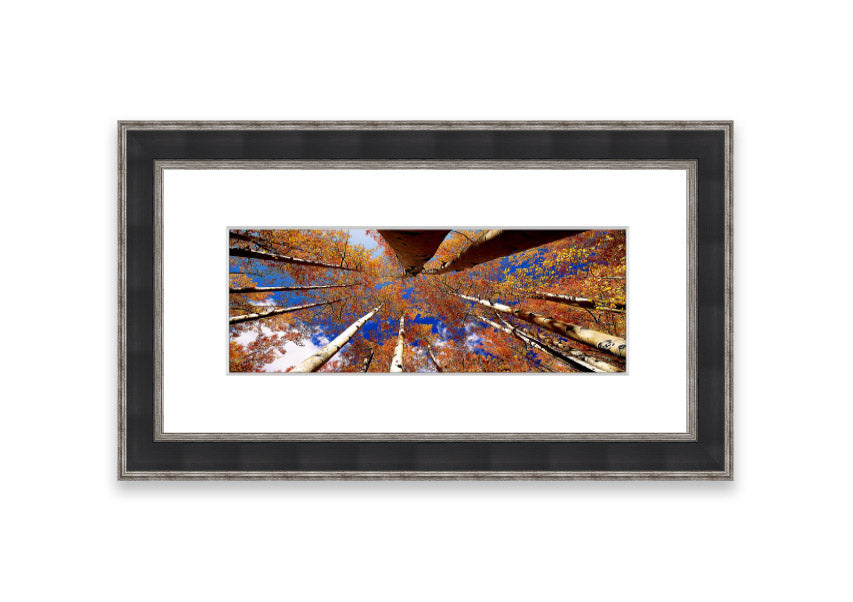 Framed print of Above The Trees, showcasing a beautiful Cornwall landscape with vibrant colors and intricate details.