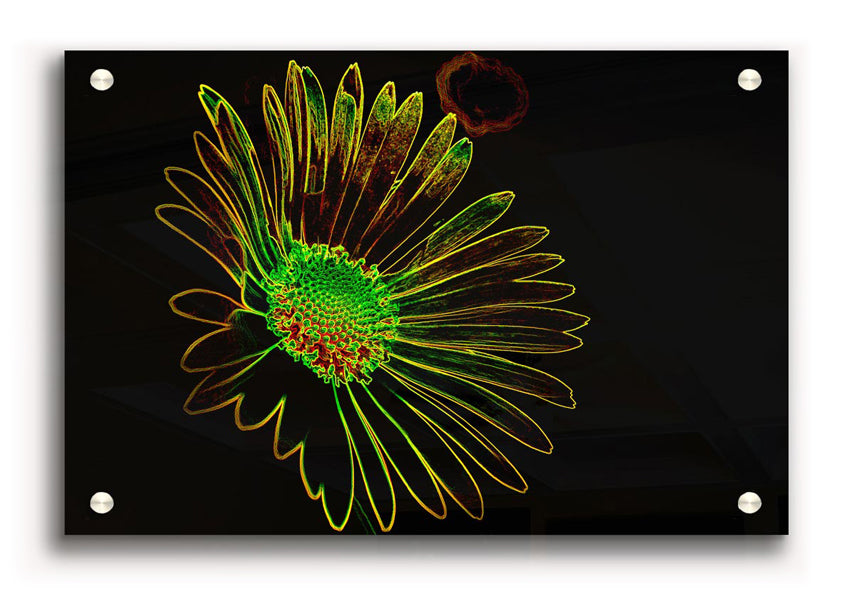 Abstarct Neon Floral 13 acrylic print showcasing vibrant floral patterns in neon colors on a clear acrylic background.