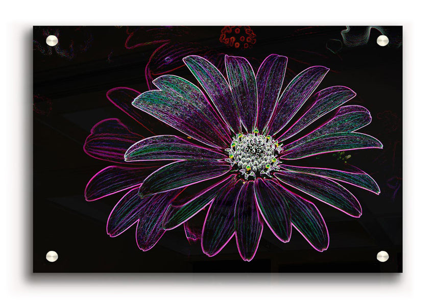 Vibrant Abstarct Neon Floral 14 acrylic print showcasing colorful floral design on 5mm thick acrylic glass.