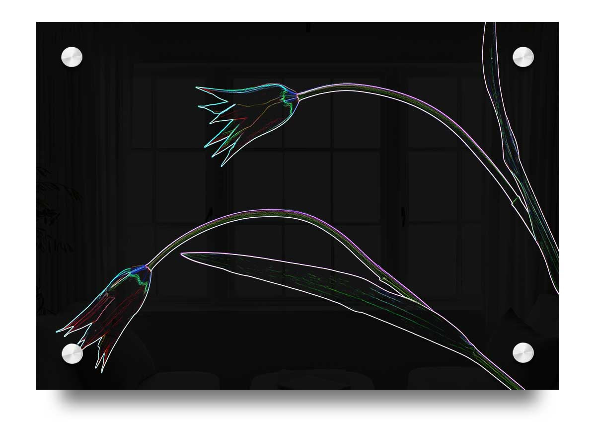 Vibrant Abstarct Neon Floral 27 acrylic print on a wall, showcasing colorful floral designs.