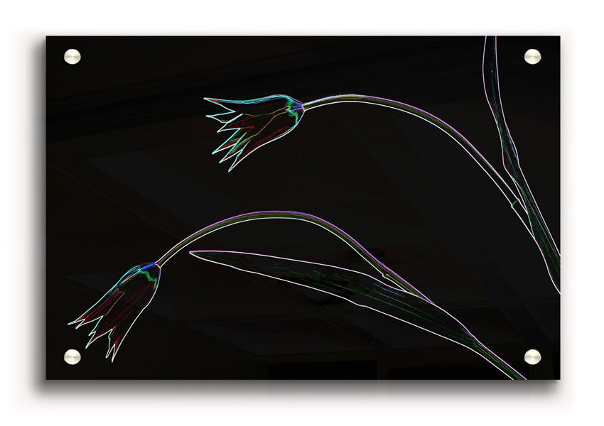 Vibrant Abstarct Neon Floral 27 acrylic print on a wall, showcasing colorful floral designs.