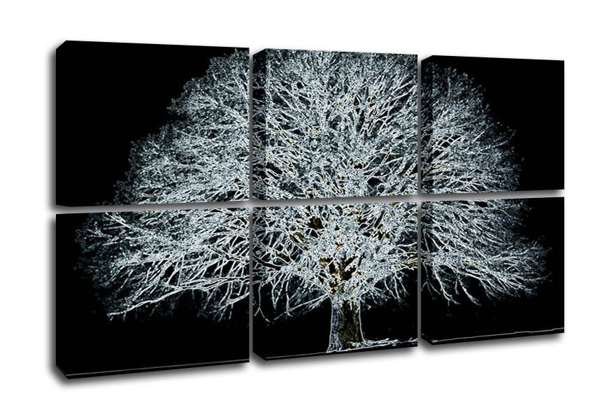 Abstract Neon Floral 34 canvas art featuring vibrant colors and floral patterns, mounted on a sturdy box frame.