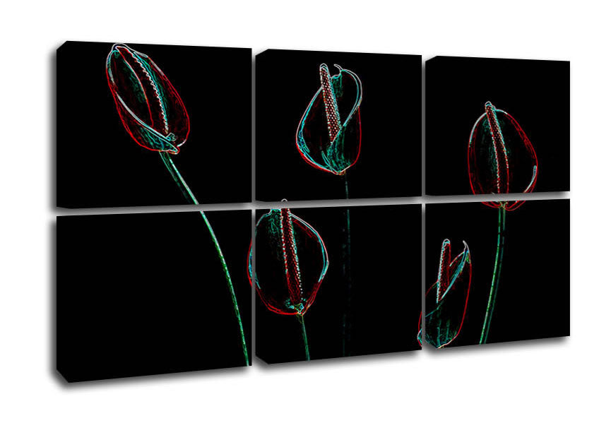 Colorful abstract canvas art featuring neon night flowers on a dark background, mounted on a sturdy box frame.