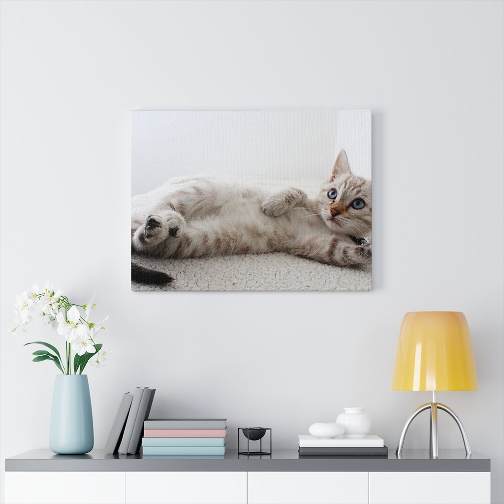 Adorable Cat Canvas Gallery Wall Art featuring a charming cat design on high-quality cotton canvas, perfect for home decor.