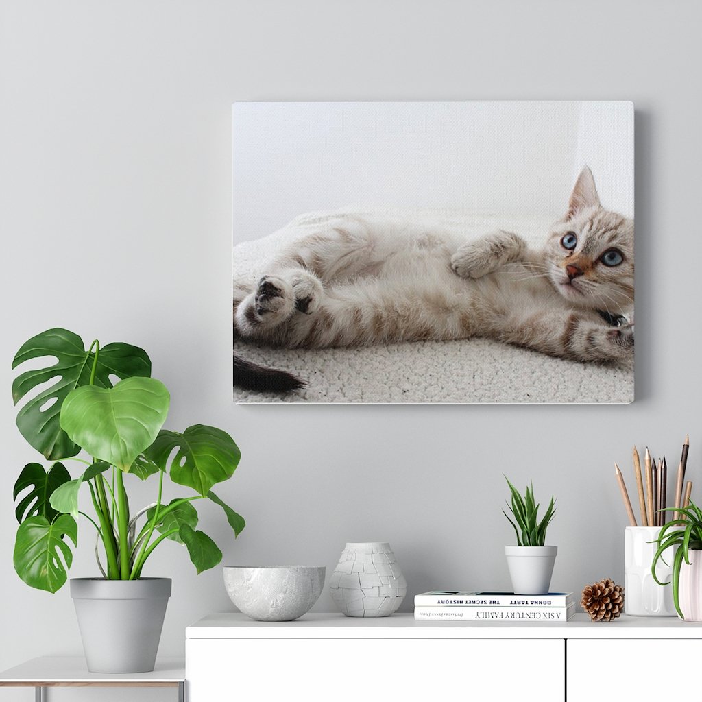 Adorable Cat Canvas Gallery Wall Art featuring a charming cat design on high-quality cotton canvas, perfect for home decor.