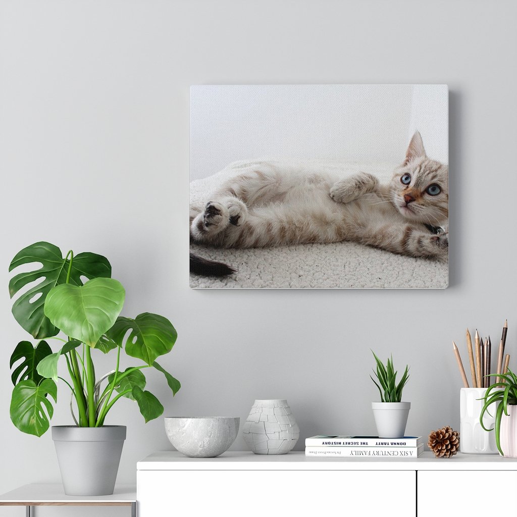 Adorable Cat Canvas Gallery Wall Art featuring a charming cat design on high-quality cotton canvas, perfect for home decor.