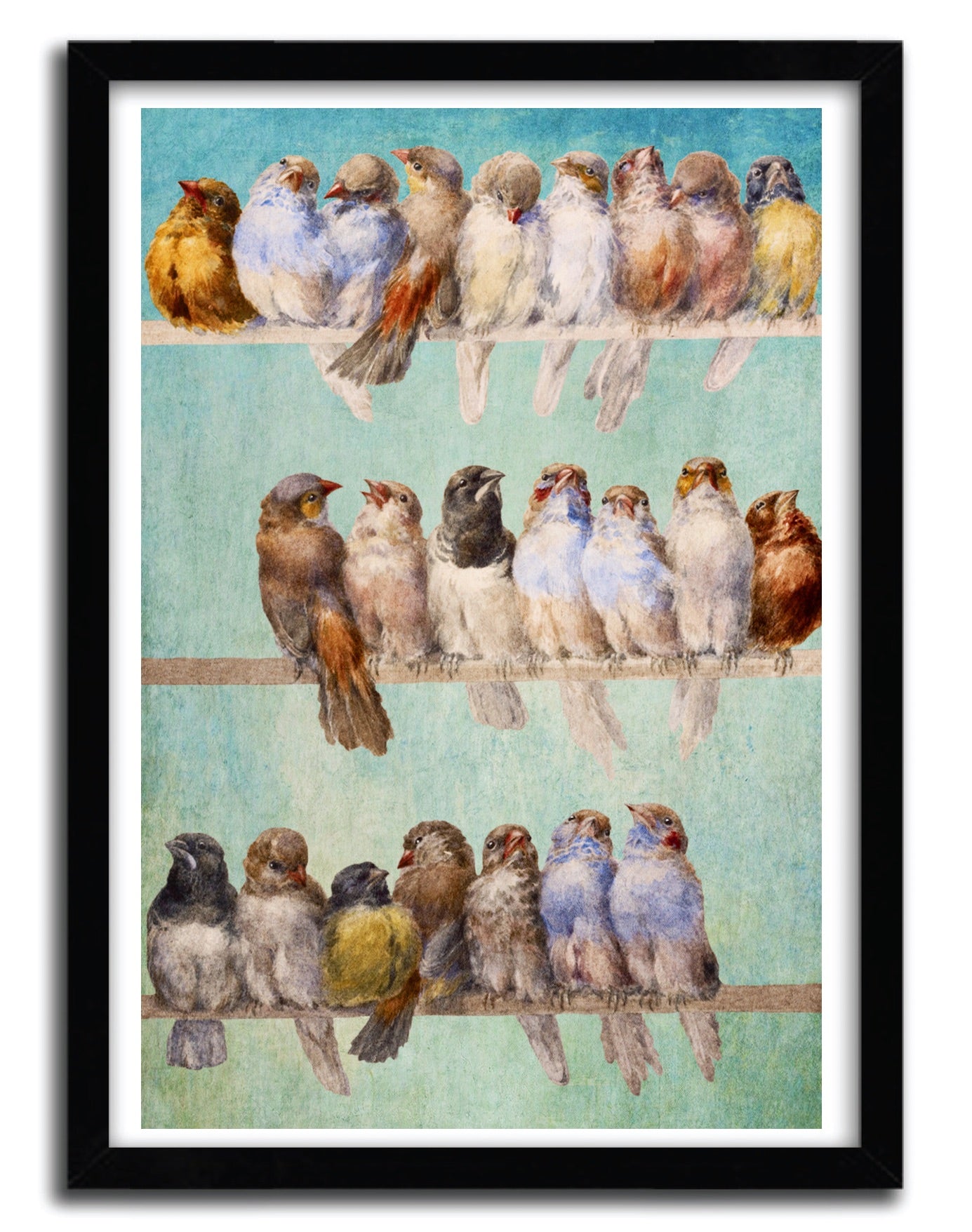 Affiche Birds Birds Birds by Diogo Verissimo, a vibrant art print featuring birds, printed on fine arts paper.