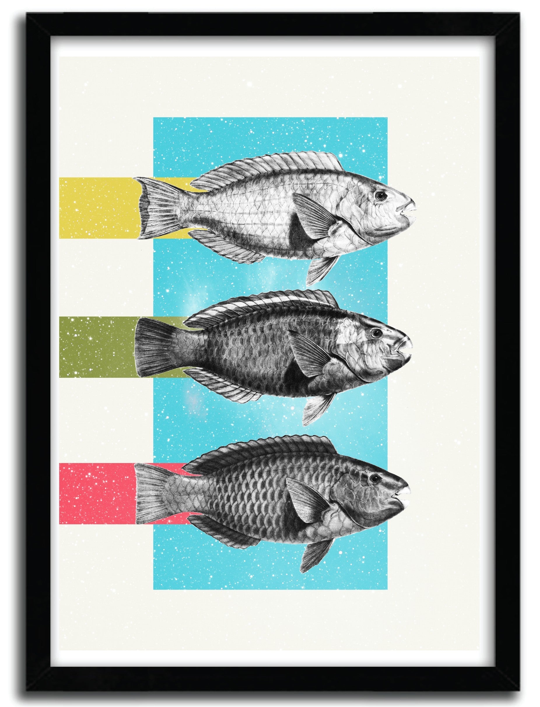 Affiche FISHES by DANNY IVAN, a vibrant limited edition art print on fine arts paper, showcasing aquatic life with intricate details.