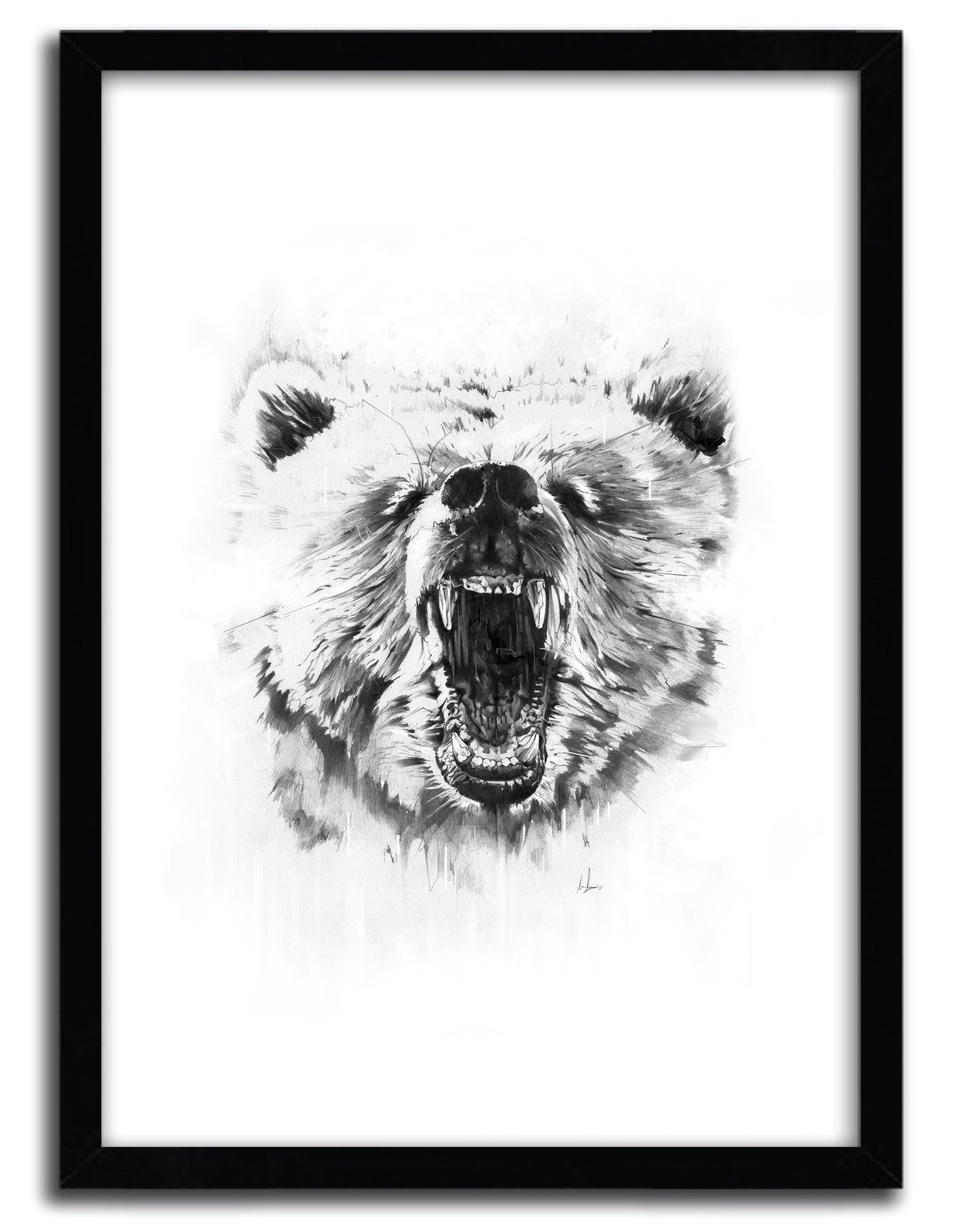 Affiche GRIZZLY by Alexis Marcou, a limited edition art print showcasing a detailed grizzly bear illustration on fine arts paper.