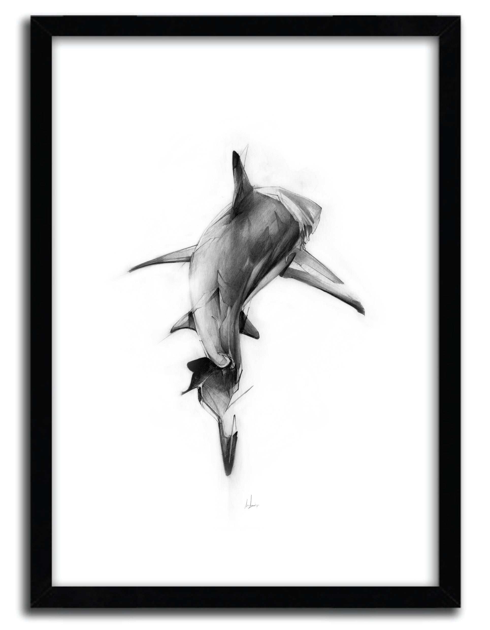 Affiche SHARK II by Alexis Marcou, a limited edition art print showcasing vibrant marine life on fine arts paper.