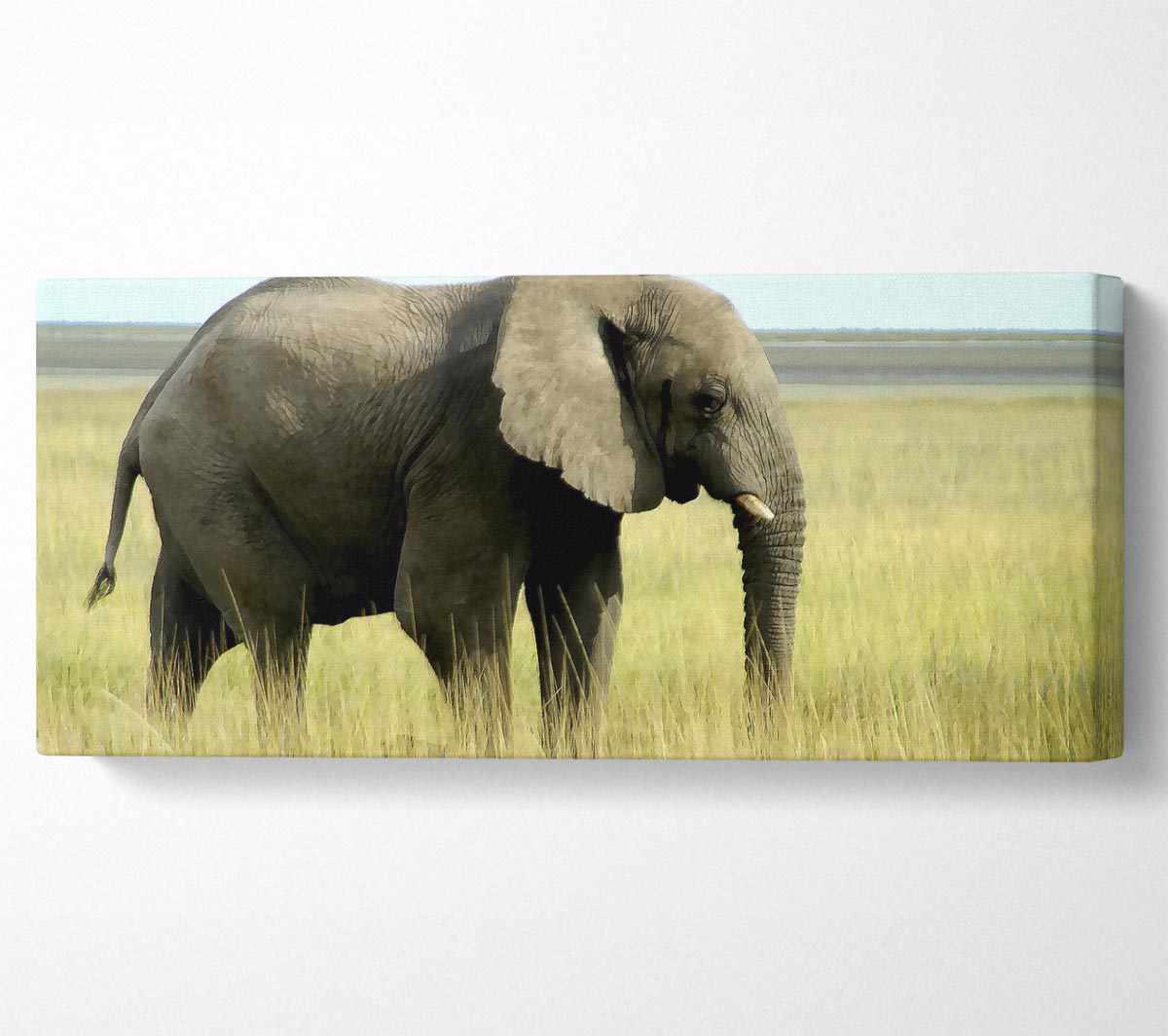 A beautifully printed canvas of an African elephant in Namibia, mounted on a sturdy frame, showcasing vibrant colors and intricate details.