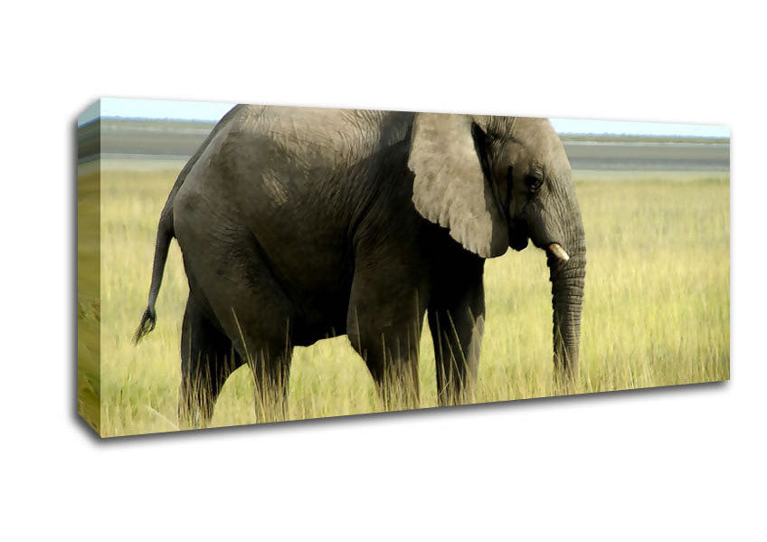 A beautifully printed canvas of an African elephant in Namibia, mounted on a sturdy frame, showcasing vibrant colors and intricate details.