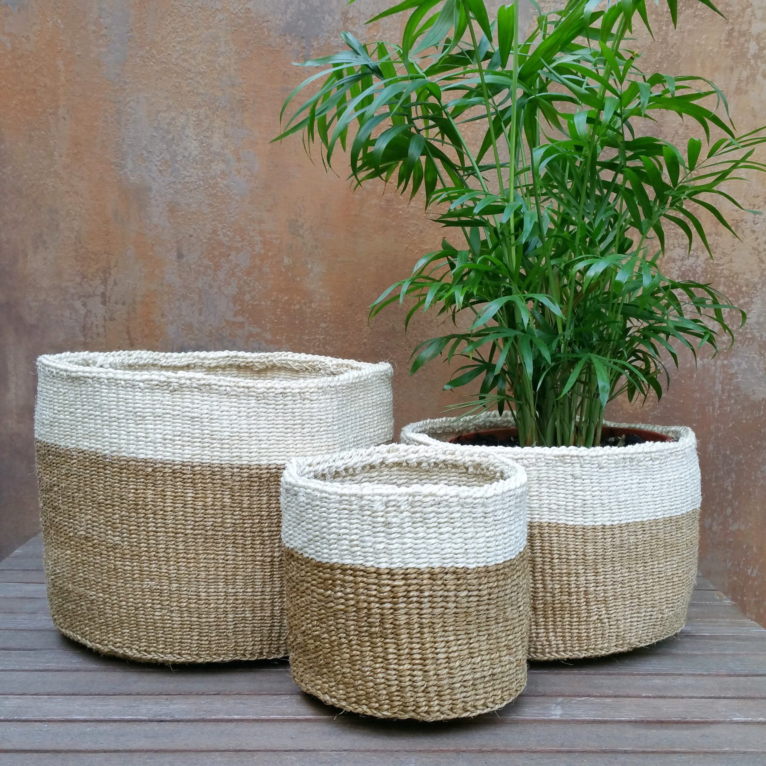 A set of three handwoven African planting baskets made from natural sisal, showcasing vibrant colors and unique designs, perfect for storage and gardening.